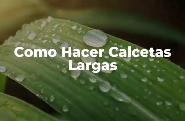 ¿Qué son Calcetas Largas y para qué Sirven?