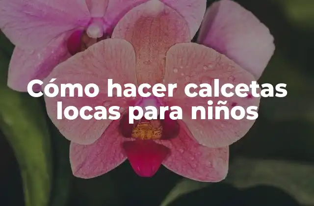 Cómo Hacer Calcetas Locas para Niños
