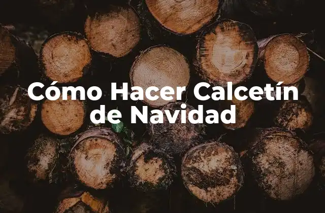 Cómo Hacer Calcetín de Navidad