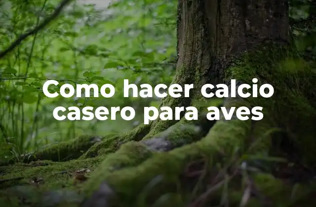 Como Hacer Calcio Casero para Aves