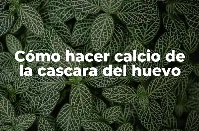 Cómo Hacer Calcio de la Cascara Del Huevo