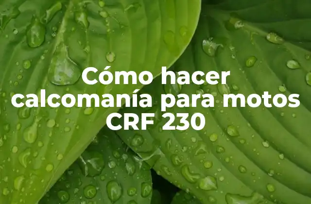 Cómo Hacer Calcomanía para Motos Crf 230
