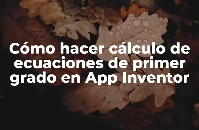 Cómo Hacer Cálculo de Ecuaciones de Primer Grado en App Inventor