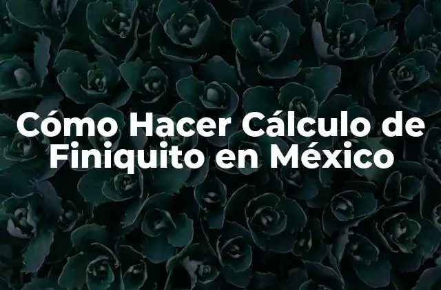 Cómo Hacer Cálculo de Finiquito en México