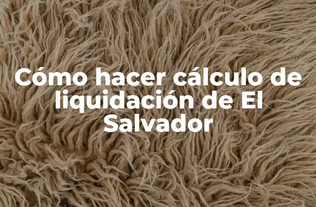 Cómo Hacer Cálculo de Liquidación de el Salvador