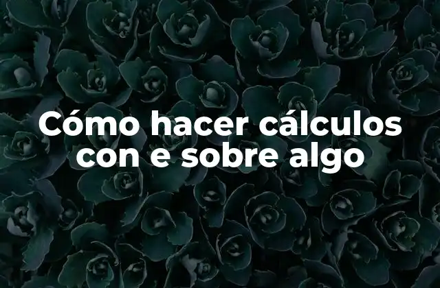 Cómo Hacer Cálculos con e sobre Algo