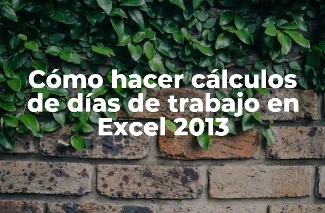 Cómo Hacer Cálculos de Días de Trabajo en Excel 2013