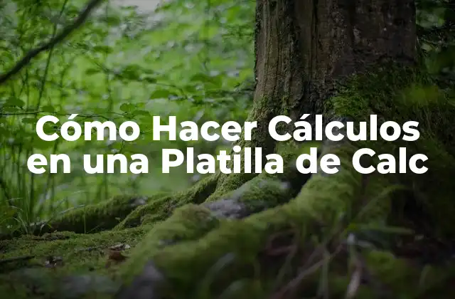 Cómo Hacer Cálculos en una Platilla de Calc