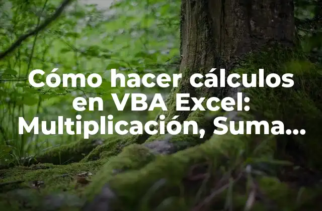 Cómo Hacer Cálculos en Vba Excel: Multiplicación, Suma, Resta, División