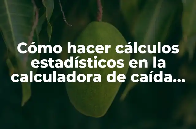 Cómo Hacer Cálculos Estadísticos en la Calculadora de Caída Libre