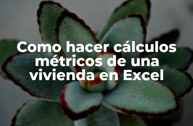 Como Hacer Cálculos Métricos de una Vivienda en Excel