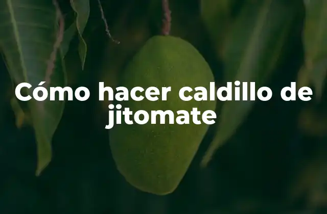 Cómo Hacer Caldillo de Jitomate