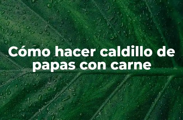 Cómo Hacer Caldillo de Papas con Carne