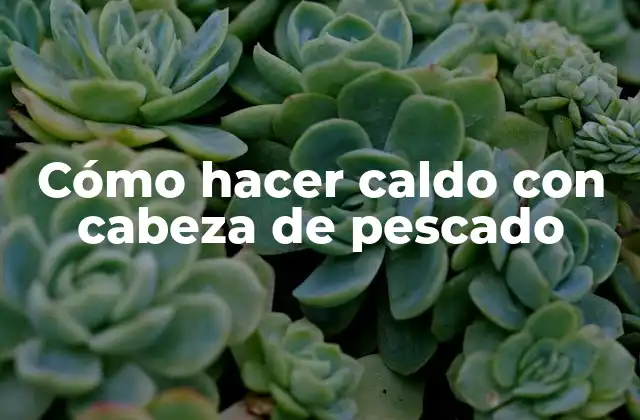 Cómo Hacer Caldo con Cabeza de Pescado 2 Cómo hacer caldo con cabeza de pescado