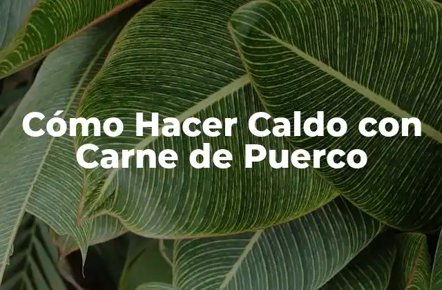Cómo Hacer Caldo con Carne de Puerco