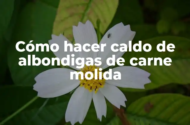 Cómo Hacer Caldo de Albondigas de Carne Molida