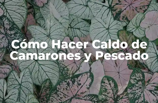 Cómo Hacer Caldo de Camarones y Pescado