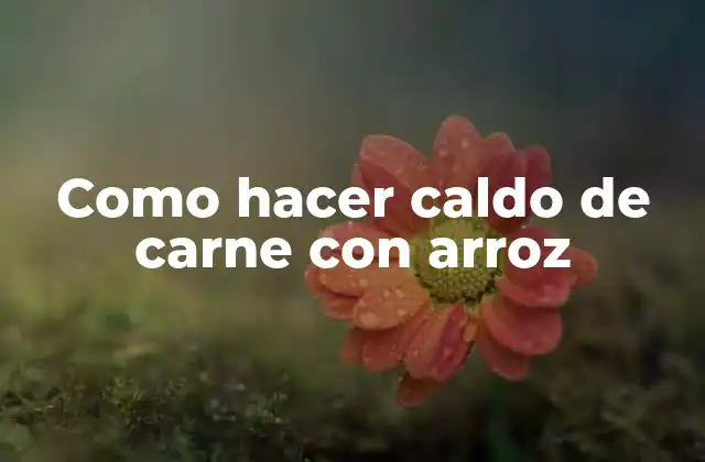 Como Hacer Caldo de Carne con Arroz 2 ¿Qué es el caldo de carne con arroz?