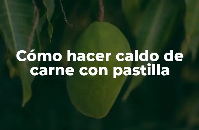 Cómo Hacer Caldo de Carne con Pastilla