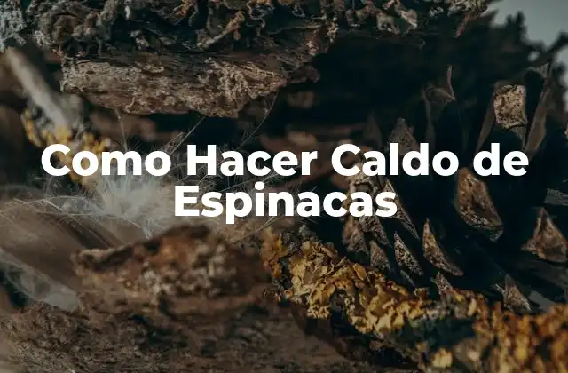 Como Hacer Caldo de Espinacas 2 Caldo de Espinacas