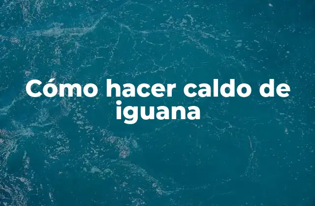 Cómo Hacer Caldo de Iguana 2 ¿Qué es el caldo de iguana y para qué sirve?