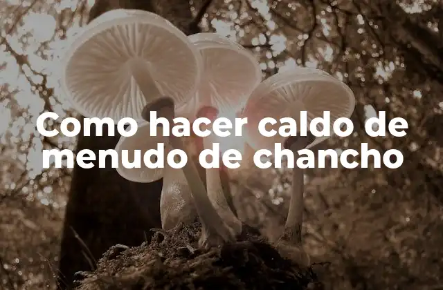 Como Hacer Caldo de Menudo de Chancho