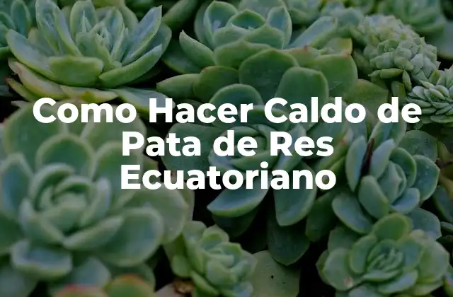 Como Hacer Caldo de Pata de Res Ecuatoriano