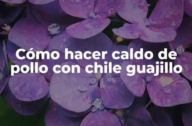 Cómo Hacer Caldo de Pollo con Chile Guajillo