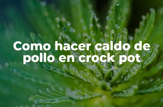 Como Hacer Caldo de Pollo en Crock Pot