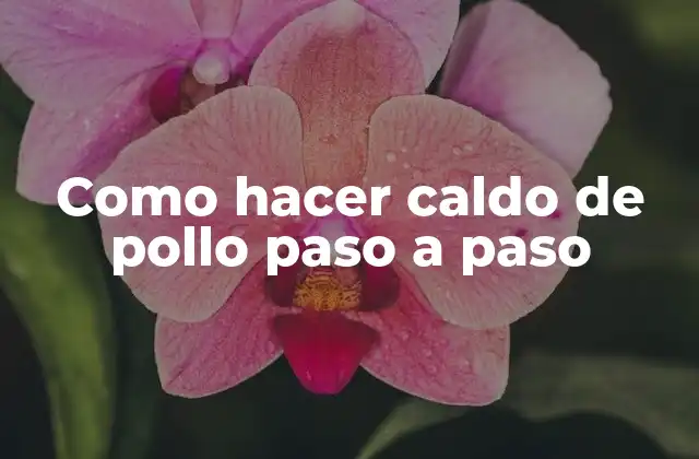 Como Hacer Caldo de Pollo Paso a Paso