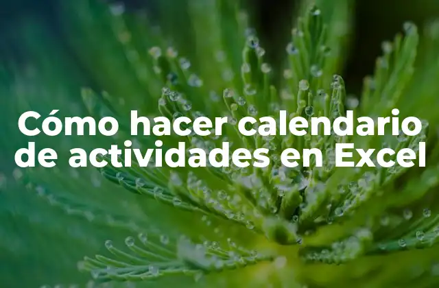 Crear un calendario de actividades en Excel