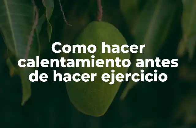 Como Hacer Calentamiento Antes de Hacer Ejercicio