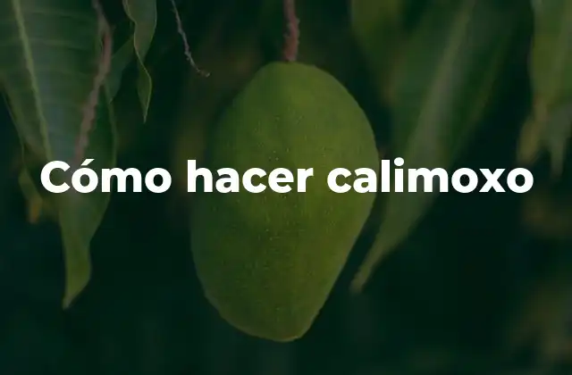 Cómo Hacer Calimoxo