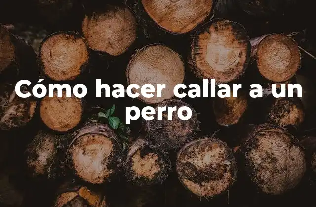 Cómo hacer callar a un perro