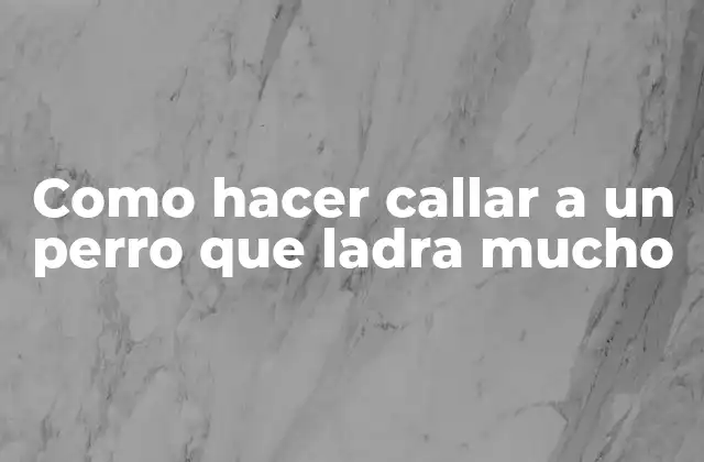 Como Hacer Callar a un Perro que Ladra Mucho