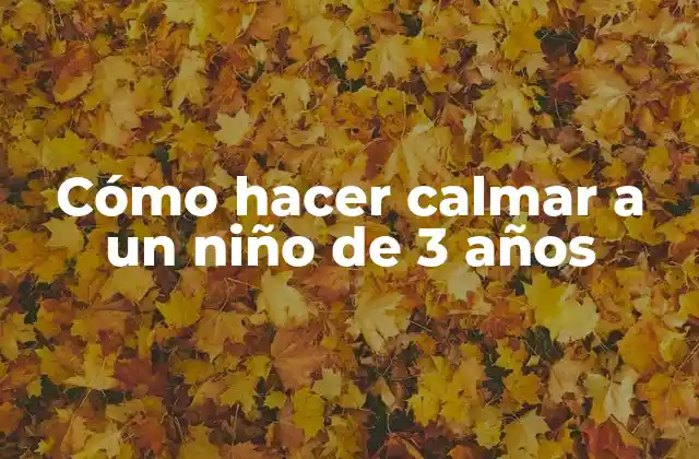 Cómo Hacer Calmar a un Niño de 3 Años