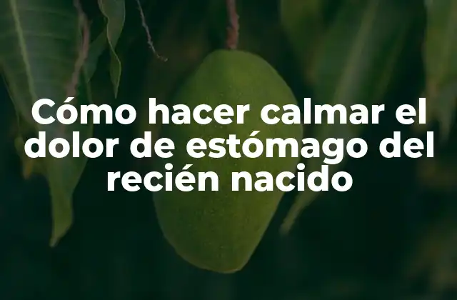 Cómo Hacer Calmar el Dolor de Estómago Del Recién Nacido