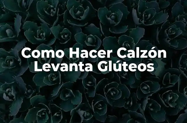 Como Hacer Calzón Levanta Glúteos