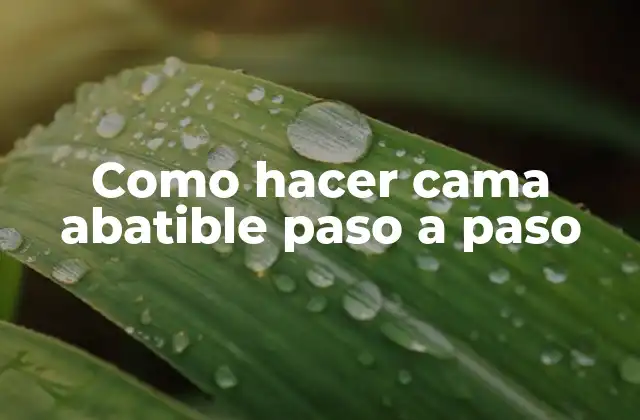 Como Hacer Cama Abatible Paso a Paso