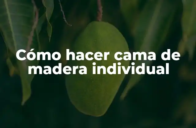 Cómo Hacer Cama de Madera Individual 2 Cómo hacer cama de madera individual