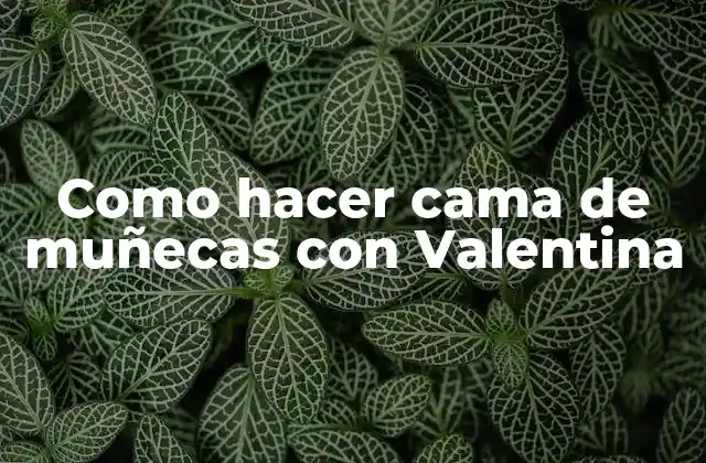 Como Hacer Cama de Muñecas con Valentina