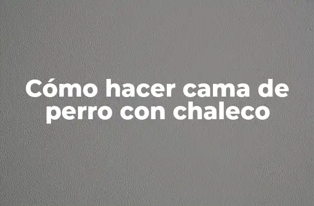 Cómo Hacer Cama de Perro con Chaleco