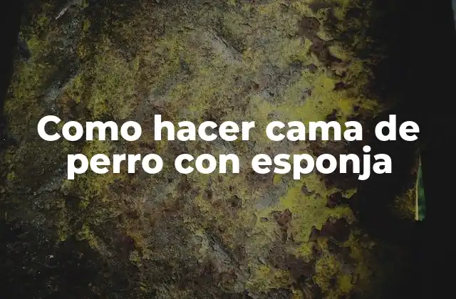 Como Hacer Cama de Perro con Esponja