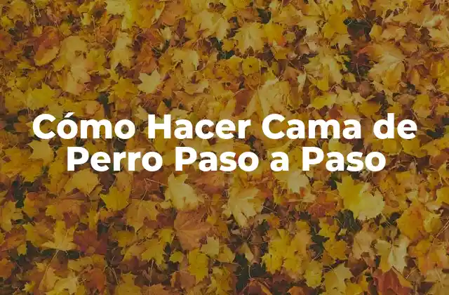 Cómo Hacer Cama de Perro Paso a Paso