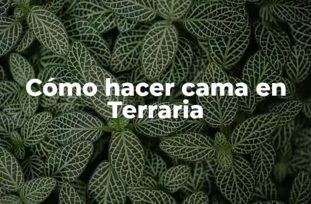 Cómo Hacer Cama en Terraria