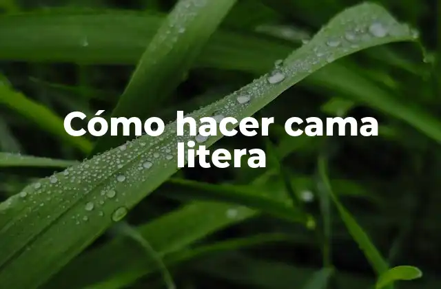 Cómo Hacer Cama Litera