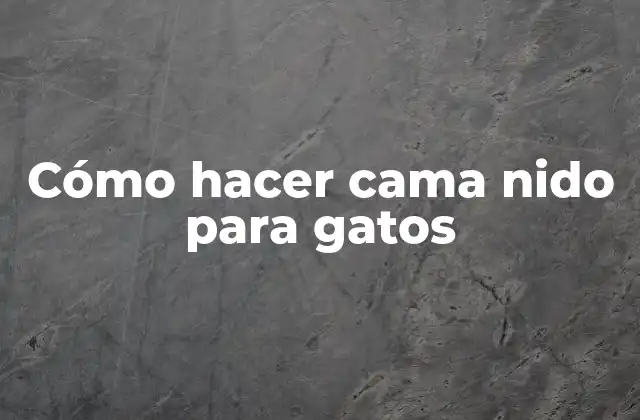 Cómo Hacer Cama Nido para Gatos