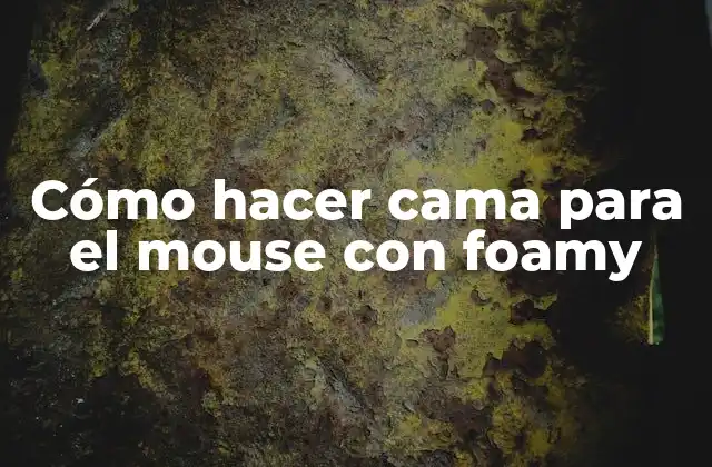 Cómo Hacer Cama para el Mouse con Foamy