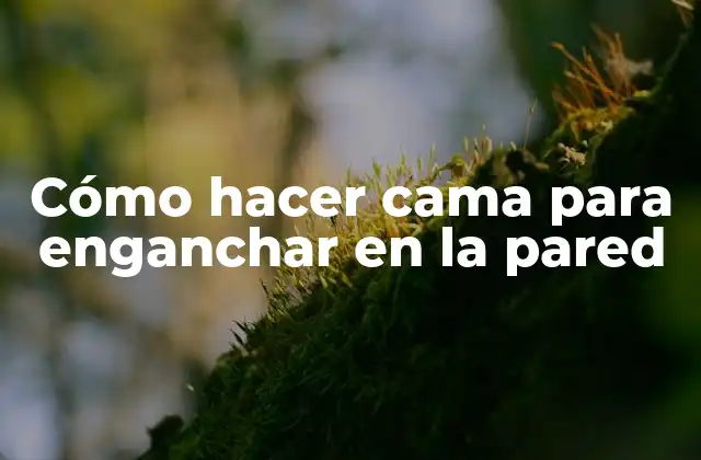 Cómo Hacer Cama para Enganchar en la Pared