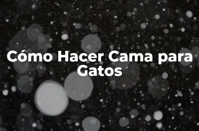 Cómo Hacer Cama para Gatos 2 Cómo Hacer Cama para Gatos